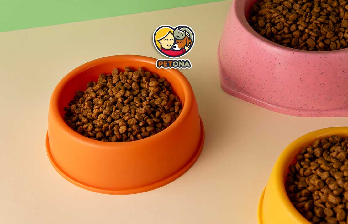 بهترین ظرف غذای گربه خانگی کدام است؟