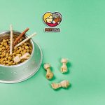 غذای سگ و گربه رویال کنین چیست؟ بررسی کیفیت، تنوع و محبوب‌ترین محصولات