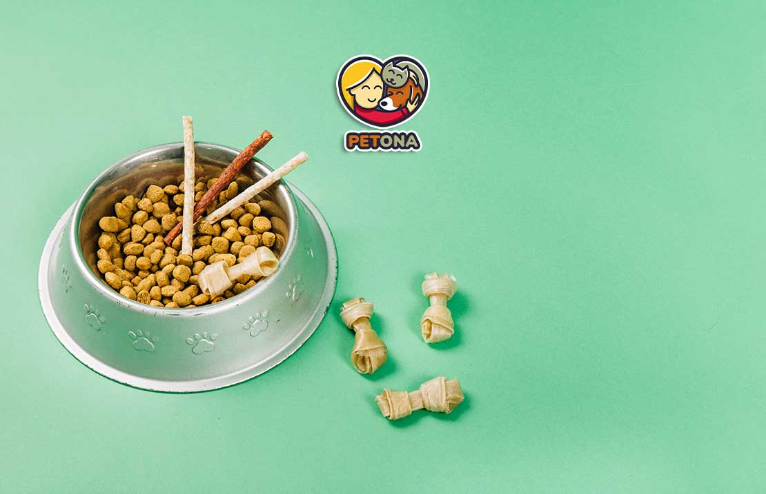 غذای سگ و گربه رویال کنین چیست؟ بررسی کیفیت، تنوع و محبوب‌ترین محصولات