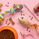 لیست جامع ۱۱ وسیله لازم قبل از آوردن گربه به خانه