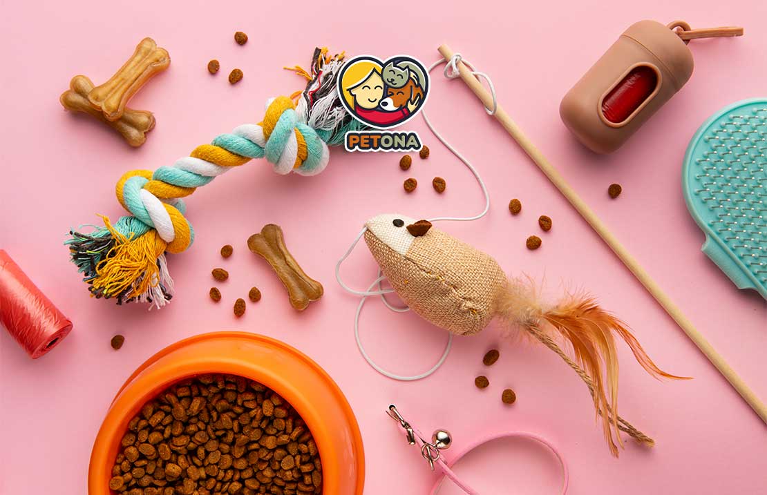 لیست جامع ۱۱ وسیله لازم قبل از آوردن گربه به خانه