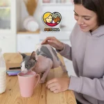 مکمل غذایی و مولتی ویتامین برای گربه