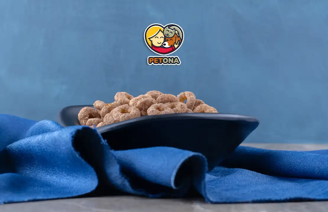 غذای خشک گربه ایرانی جایگزین برند خارجی