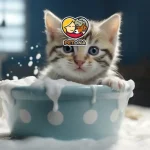 بهترین شامپو برای گربه