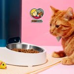 غذای گربه هپی کت Happy Cat و کیفیت، ترکیبات و مزایای این برند