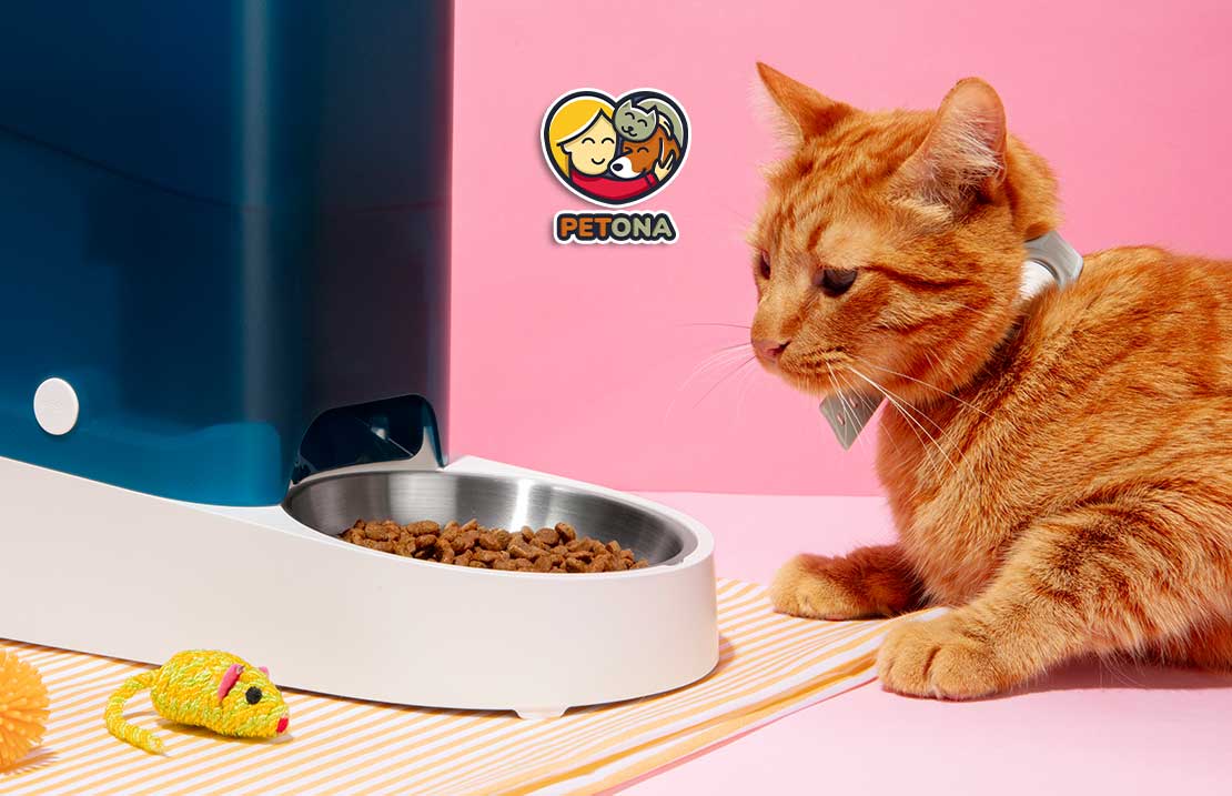 غذای گربه هپی کت Happy Cat و کیفیت، ترکیبات و مزایای این برند