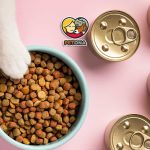 سوپ گربه یا کنسرو گربه؟ ۷ تفاوت مهم برای انتخاب بهترین غذای گربه + جدول مقایسه