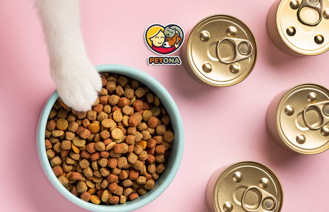 سوپ گربه یا کنسرو گربه؟ ۷ تفاوت مهم برای انتخاب بهترین غذای گربه + جدول مقایسه