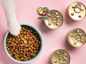 آیا غذای وینستون برای سگ و گربه انتخاب مناسبی است؟