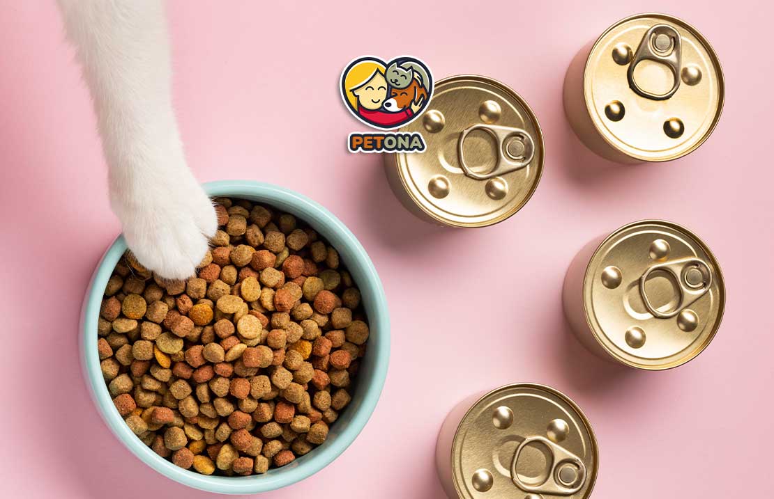 آیا غذای وینستون برای سگ و گربه انتخاب مناسبی است؟