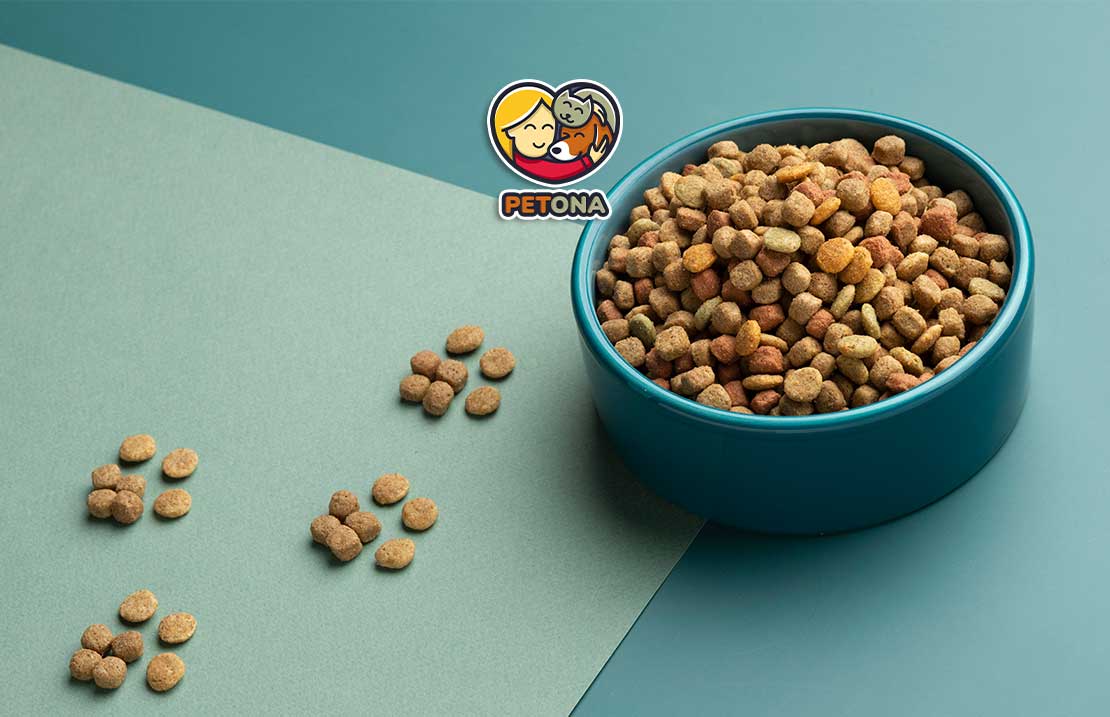 بهترین برند غذای گربه خارجی در سال ۲۰۲۴ کدام است؟