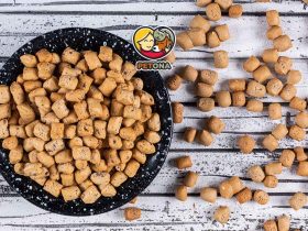 غذای خشک گربه چیست؟ نکات مهم خرید، ترکیبات و مقایسه بهترین برندها