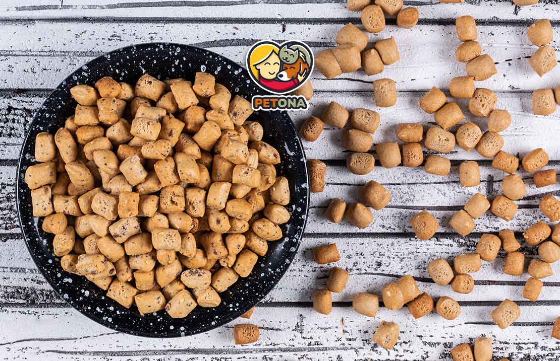 غذای خشک گربه چیست؟ نکات مهم خرید، ترکیبات و مقایسه بهترین برندها