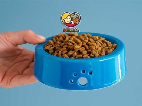 تفاوت غذای گربه رفلکس و رفلکس پلاس چیست؟