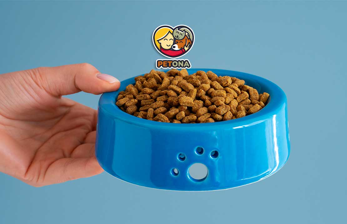 تفاوت غذای گربه رفلکس و رفلکس پلاس چیست؟