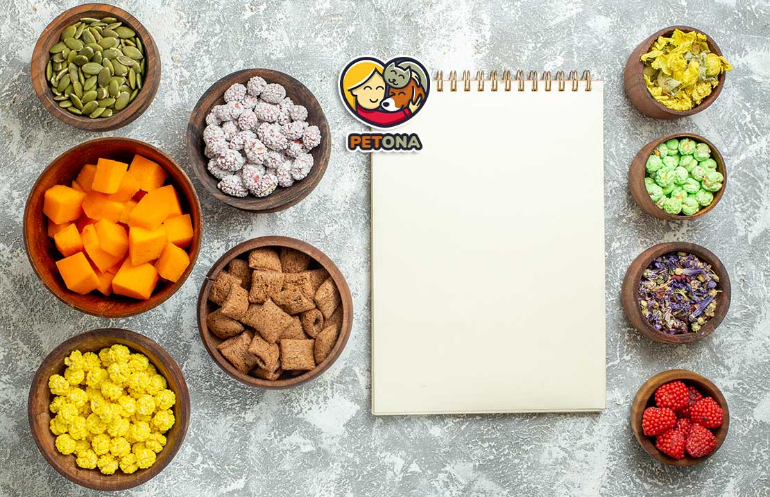 بهترین غذای گربه خانگی چیست؟