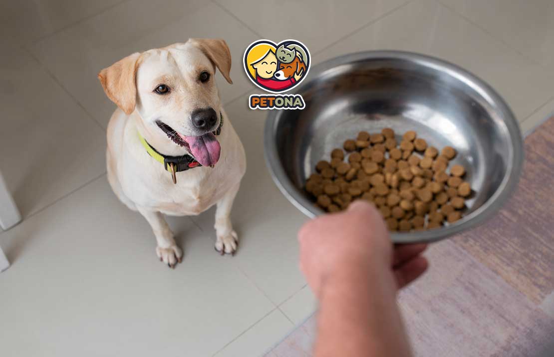 آیا غذای سگ هپی داگ Happy Dog بهترین انتخاب برای سگ شماست؟