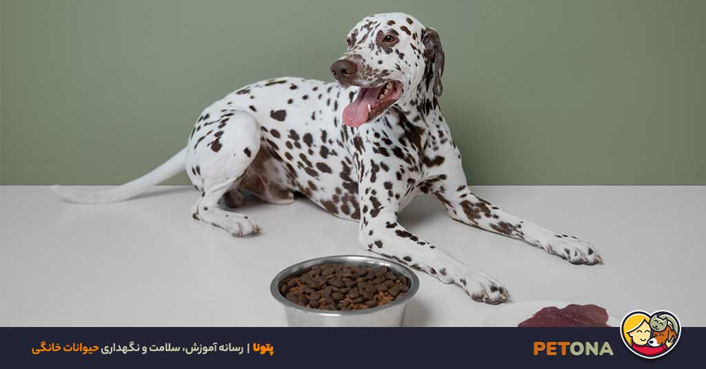 ویژگی‌های برند غذای سگ هپی داگ