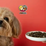 غذای مرطوب سگ