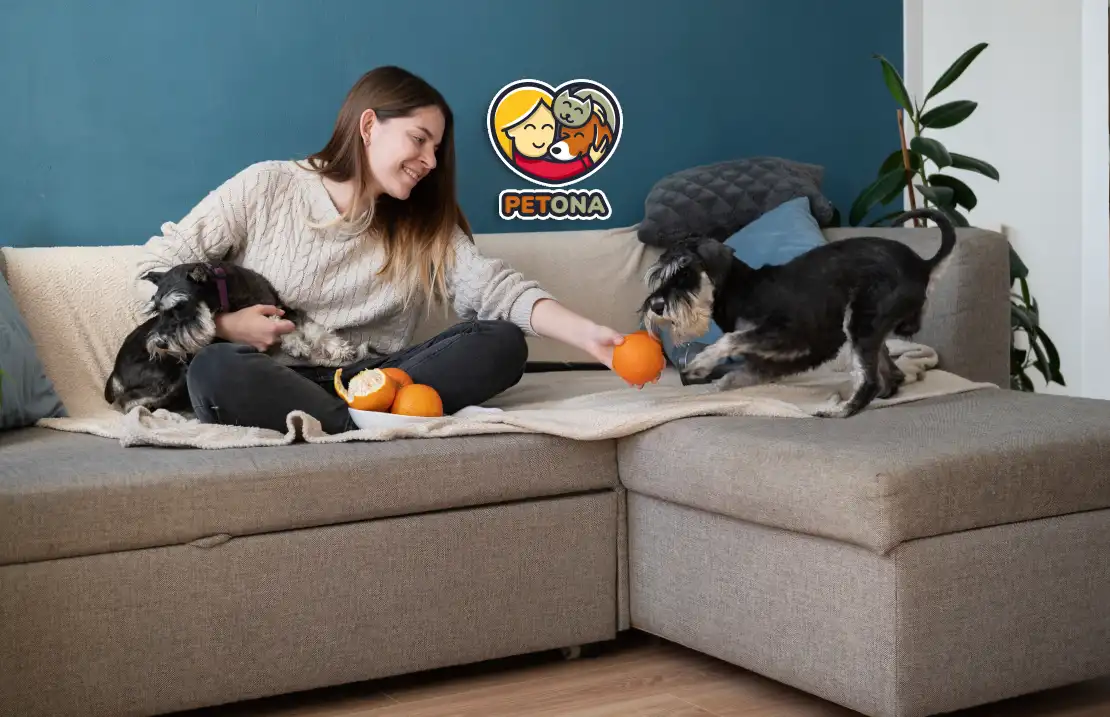 نگهداری سگ و گربه باهم در خانه