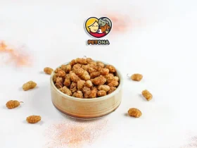 غذای خشک ارزان گربه