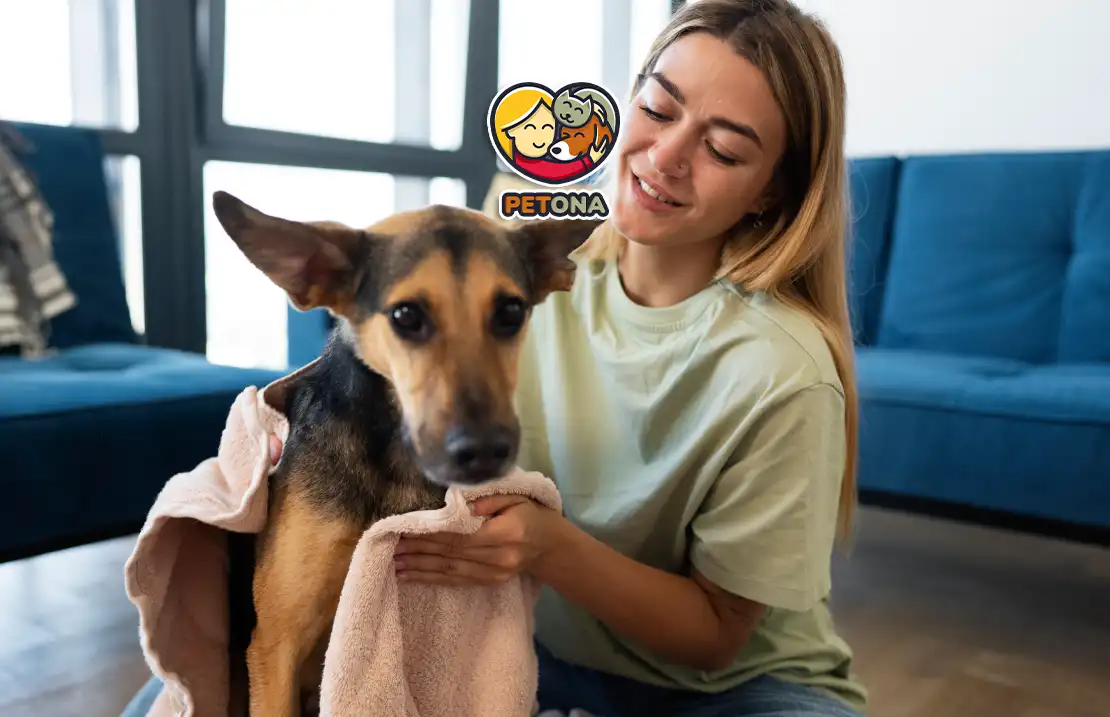 سرپرستی گرفتن سگ