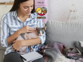 فواید نگهداری از گربه در خانه