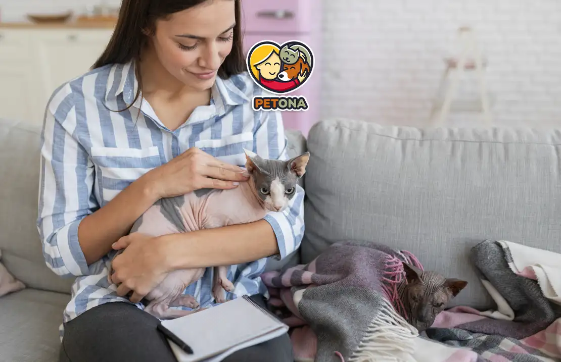 فواید نگهداری از گربه در خانه