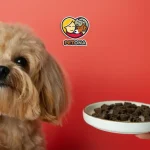 برنامه غذایی سگ شیتزو