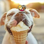 ضرر بستنی برای گربه