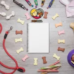 لیست کامل وسایل مورد نیاز سگ خانگی