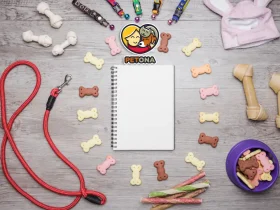 لیست کامل وسایل مورد نیاز سگ خانگی