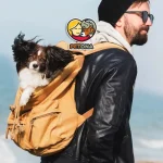 سفر با سگ خود