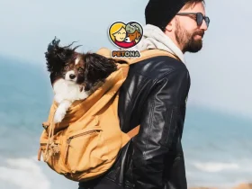 سفر با سگ خود