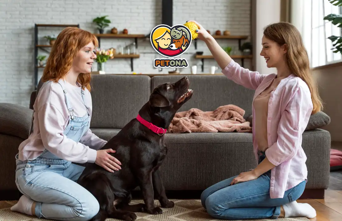 رفتارشناسی سگ باردار و شیرده