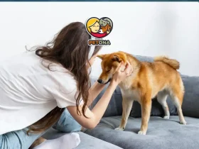 کاهش استرس با حیوان خانگی