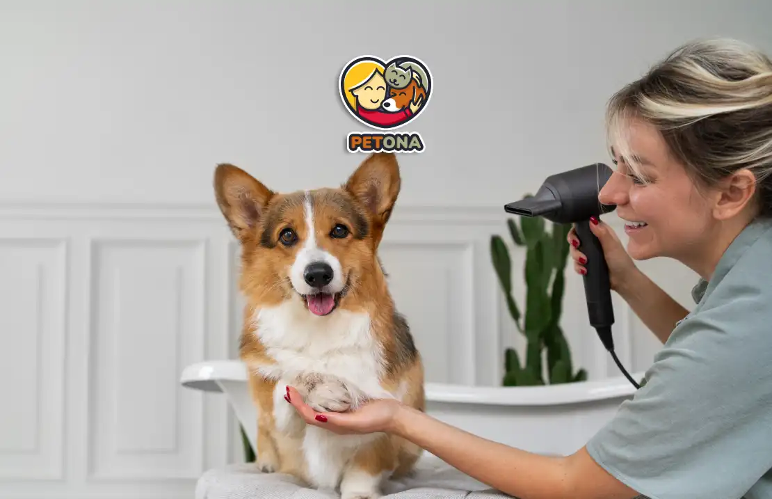 کوتاه کردن ناخن سگ