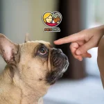 علت گاز گرفتن توله سگ