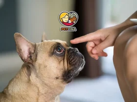 علت گاز گرفتن توله سگ