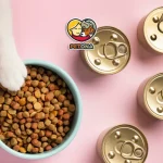 بهترین غذای کنسروی گربه