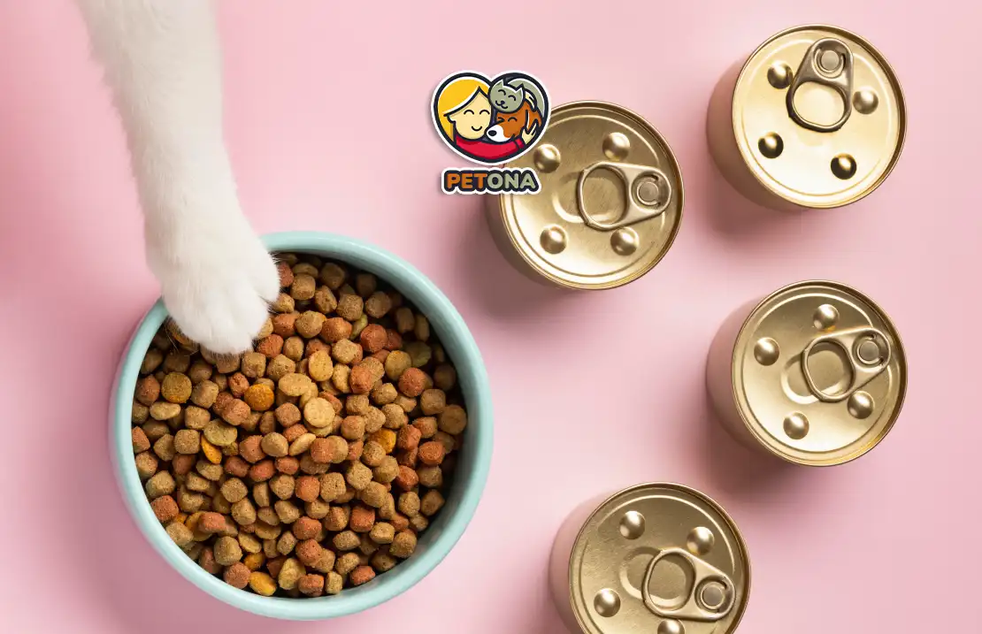 بهترین غذای کنسروی گربه