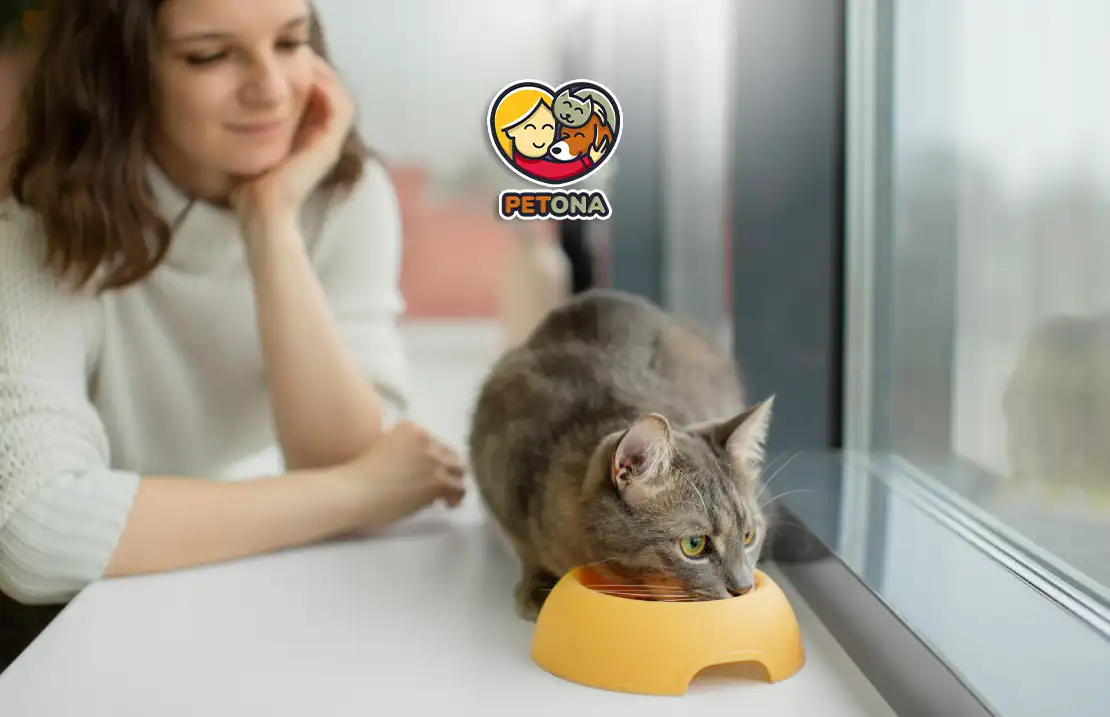 بیاشتهایی گربه