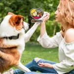 زبان بدن سگ