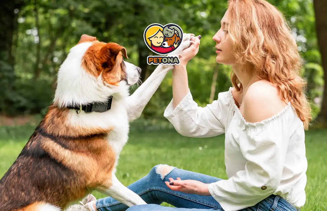 زبان بدن سگ