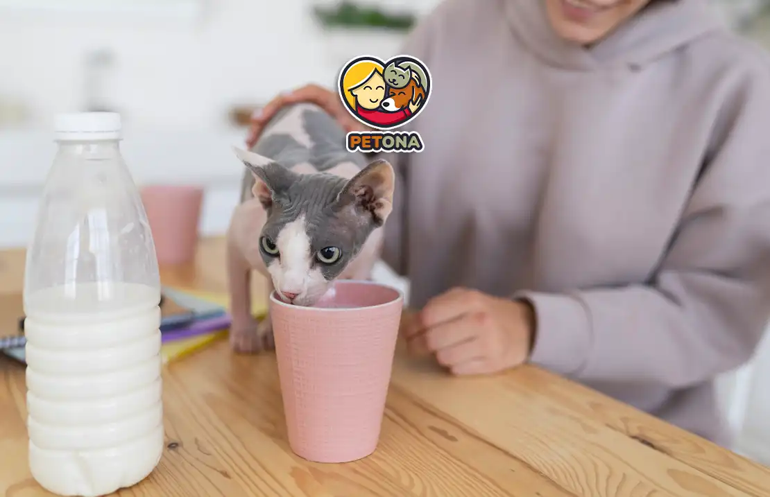 علائم و درمان حساسیت به لاکتوز در سگ‌ها