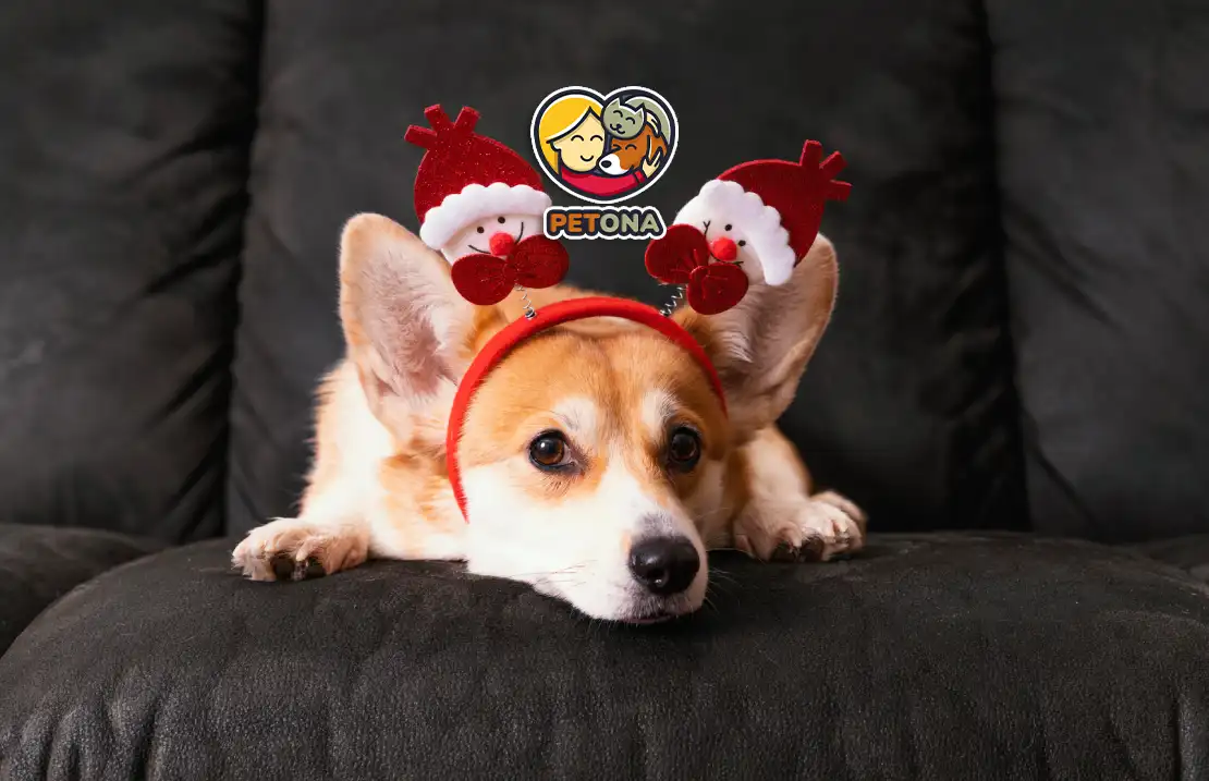 بهترین اسم برای سگ من