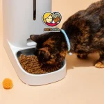 غذای رفلکس برای سگ و گربه