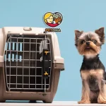 حمل سگ و گربه با هواپیما در ایران و خارج