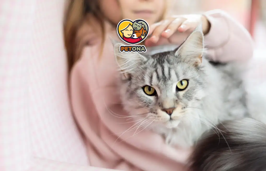 بلوغ گربه ها