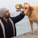 هزینه نگهداری سگ در ایران